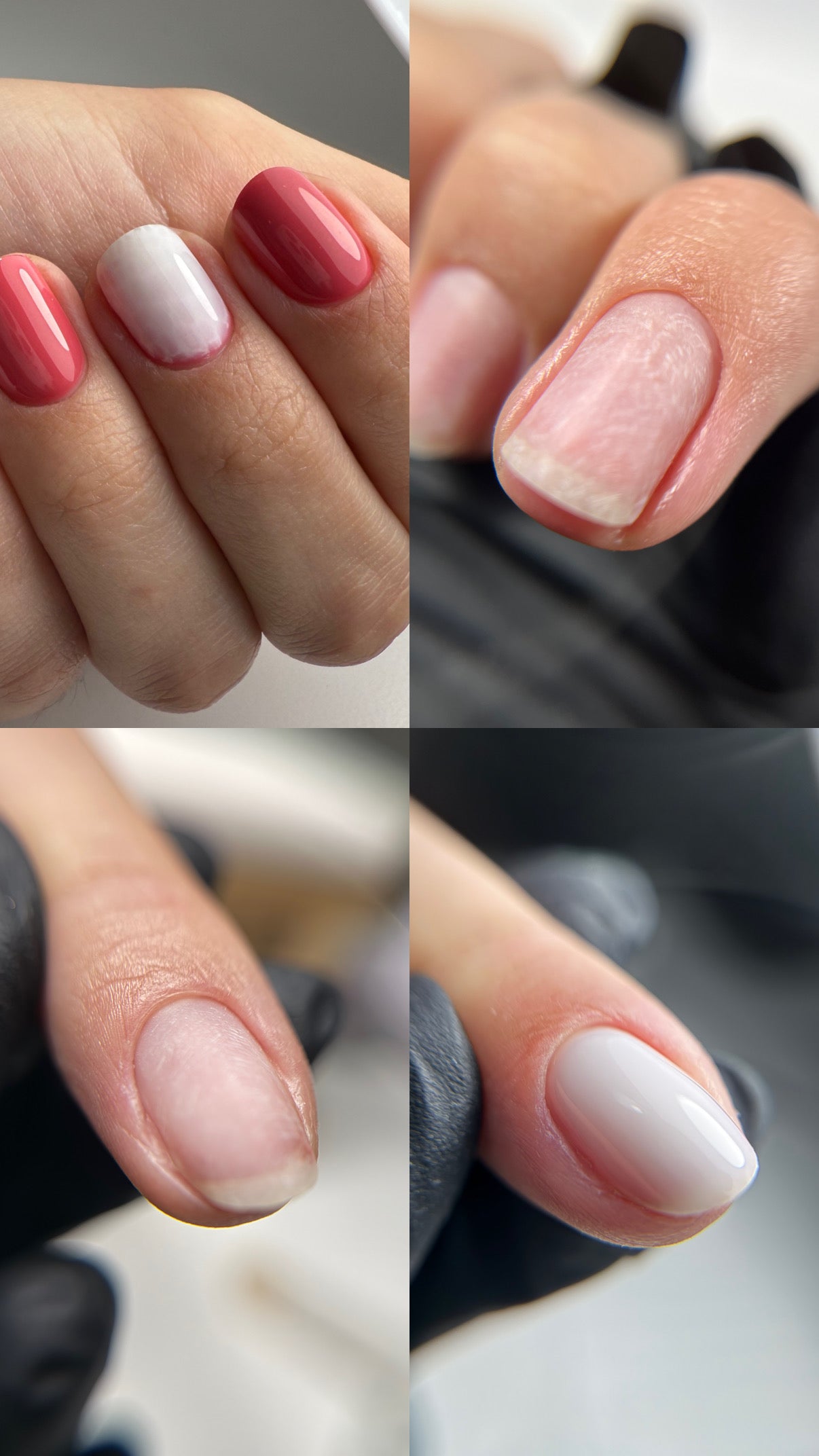 BUNDLE: Básico bem feito ❤️‍🔥